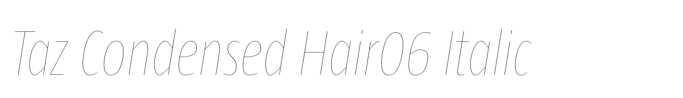 Taz Condensed Hair06 Italic